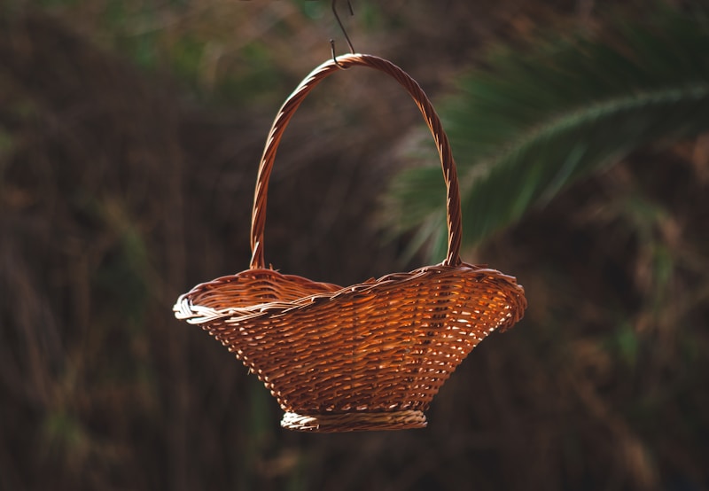 Woven Bamboo Basket